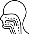 Side profile illustration of human head showing internal dental and jaw anatomy structures.
